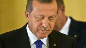 Политолог предупредил Россию о риске предательства со стороны Турции