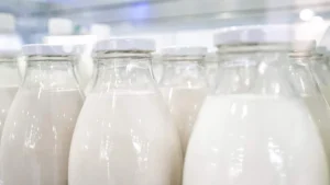 Во Франции ожидают падения производства молочных продуктов на 30% из-за жары